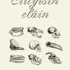 Erityisin eläin
