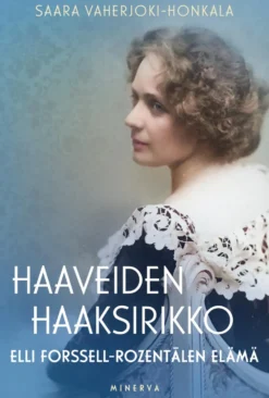 Haaveiden haaksirikko