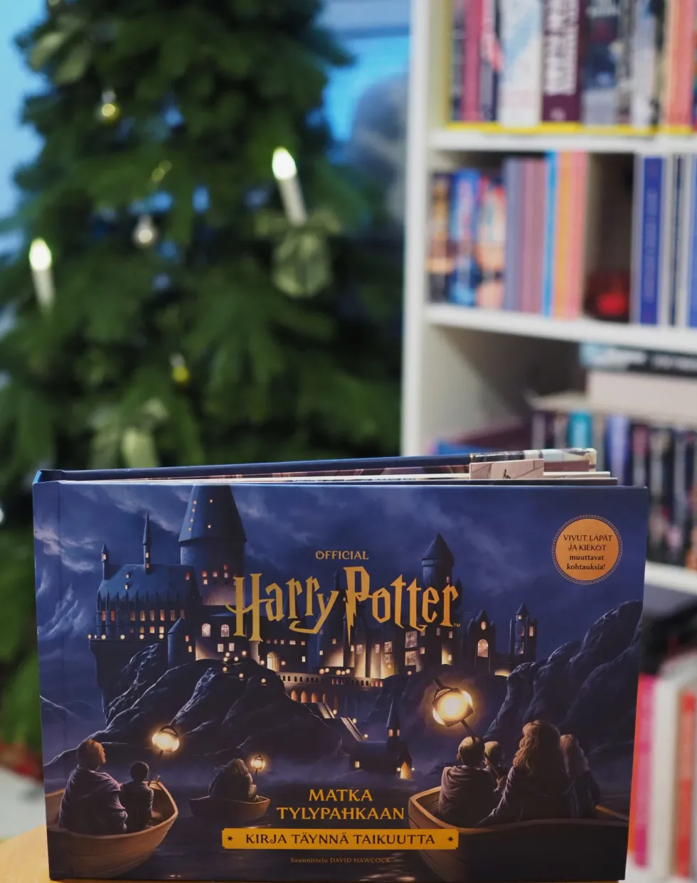 Harry Potter - Matka Tylypahkaan