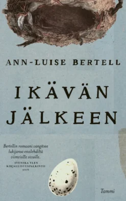 Ikävän jälkeen