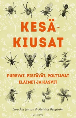 Kesäkiusat