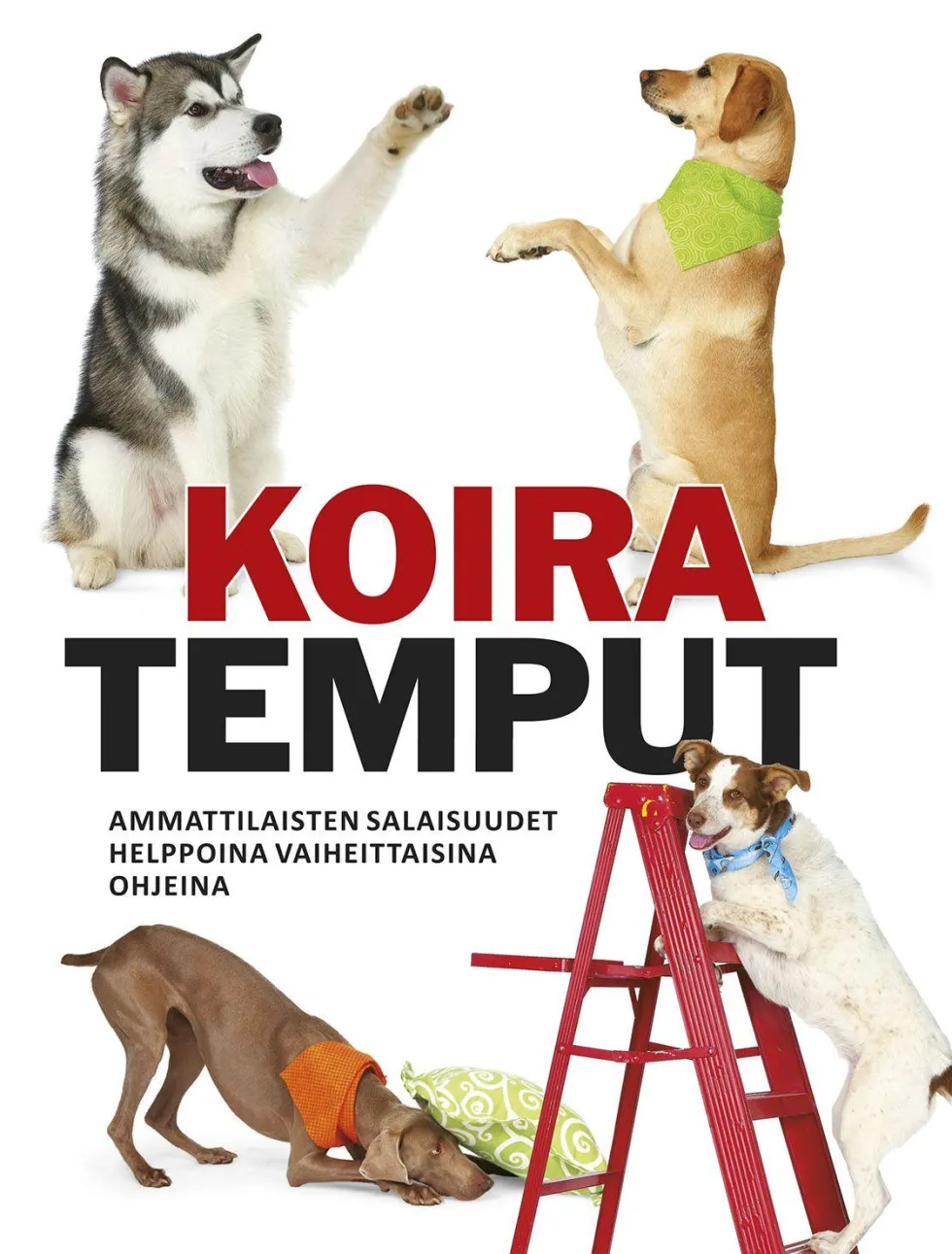 Koiratemput