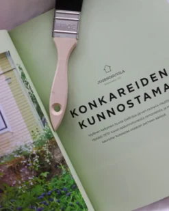 Kunnosta & sisusta puutalo