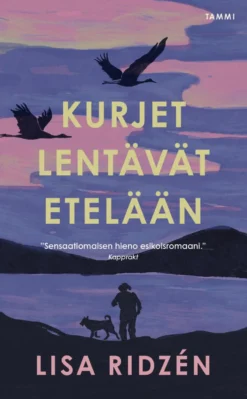 Kurjet lentävät etelään