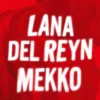 Lana Del Reyn mekko