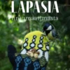 Lapasia lintumaailmasta