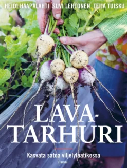 Lavatarhuri