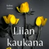 Liian kaukana