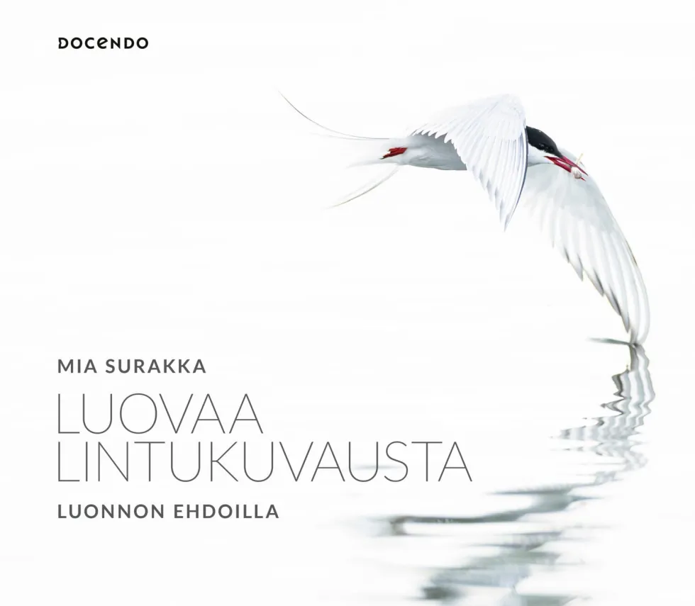 Luovaa lintukuvausta luonnon ehdoilla