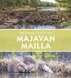 Majavan mailla