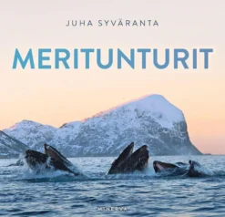 Meritunturit