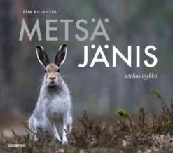 Metsäjänis