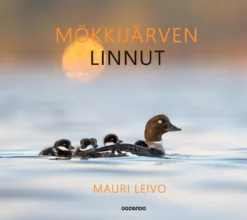 Mökkijärven linnut