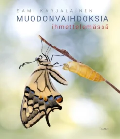 Muodonvaihdoksia ihmettelemässä