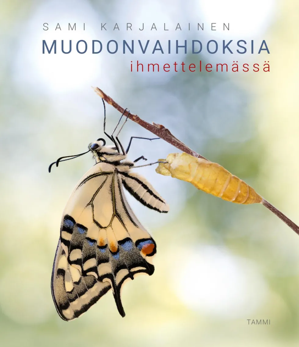 Muodonvaihdoksia ihmettelemässä