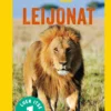 National Geographic. Leijonat