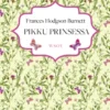 Pikku prinsessa