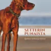 Setterinpunaista