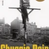 Shuggie Bain