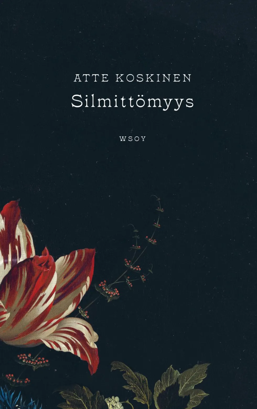 Silmittömyys