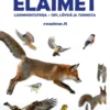 Talven eläimet luonnontutkija - Opi, löydä ja tunnista