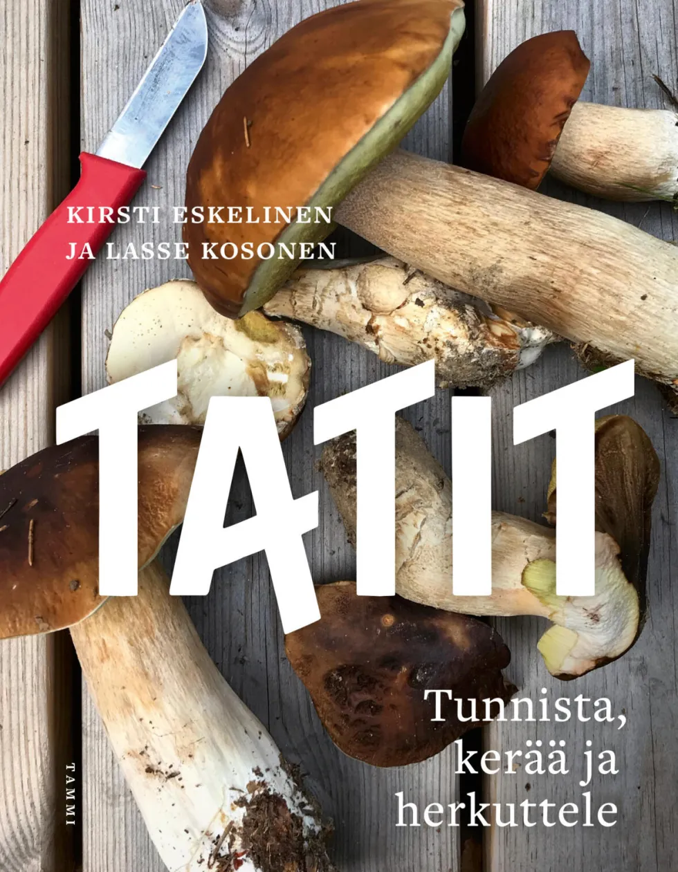 Tatit