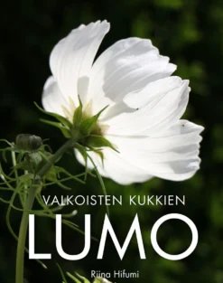 Valkoisten kukkien lumo