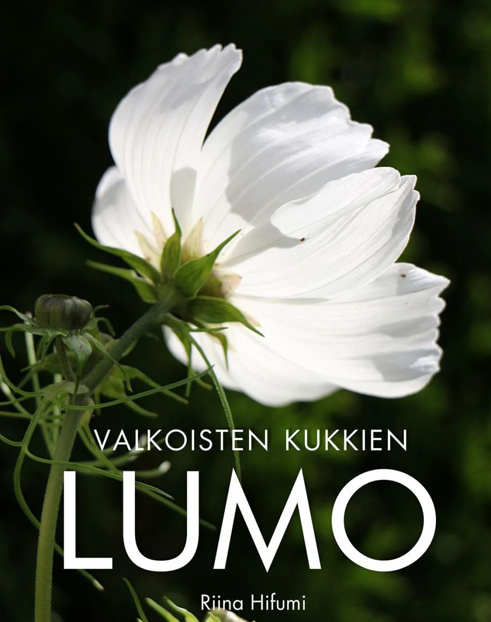 Valkoisten kukkien lumo